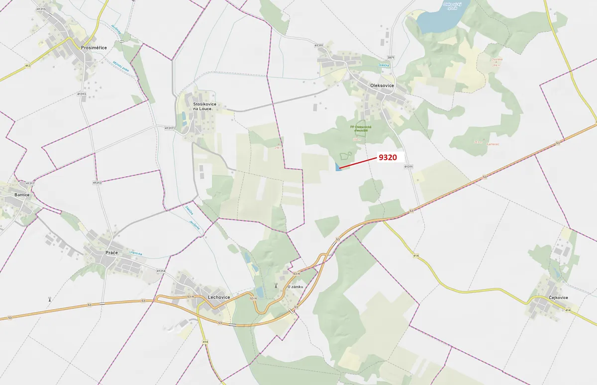 Dražba lesa 4862 m²